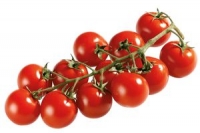Denns  Tomaten