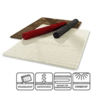 Hochflor-Teppich 29.95&nbsp;&euro;