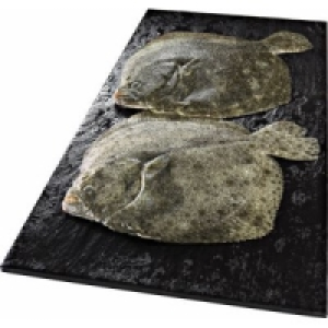 Steinbutt 13.99 €