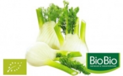 Fenchel 1.79 €