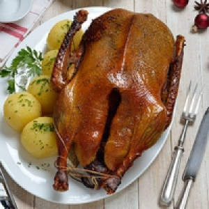 Deutsche Hafermastgans 7.99&nbsp;&euro;