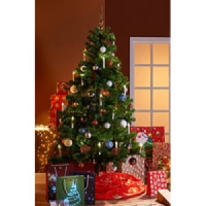 Weihnachtsbaum 19.99 €