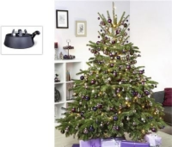 Nordmanntanne, H&ouml;he ca. 130 - 150 cm 17.99&nbsp;&euro;