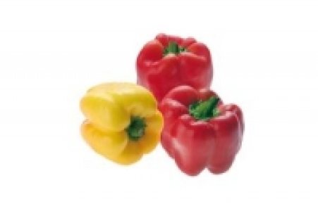 Paprika rot oder gelb 3.99 €
