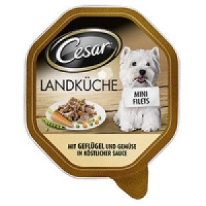 Cesar Hunde-Nassnahrung