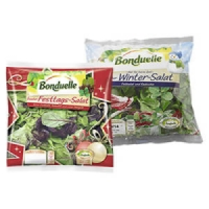 Bonduelle Festtagssalat oder Wintersalat