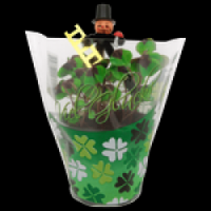 Glücksklee 1.79 €