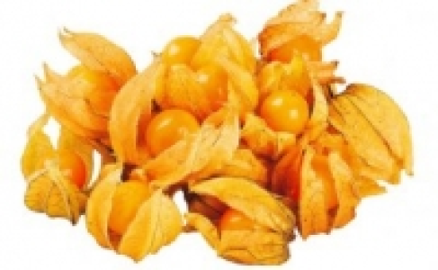 Physalis 0.88 €