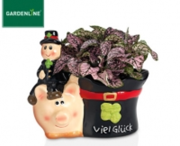 GARDENLINE®Glücksbringer 2.59 €