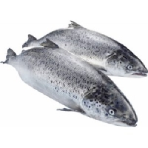 Lachs 9.99&nbsp;&euro;