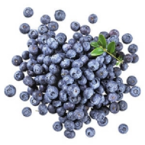 Chile Heidelbeeren