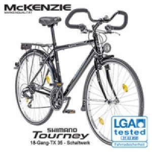 Trekkingrad Travel 100