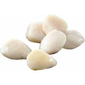 MSC Kammmuschelfleisch 29.99 €