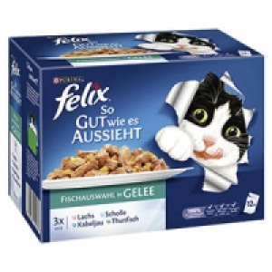 felix Katzen- Nassnahrung