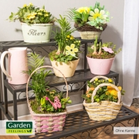 Aldi Nord Garden Feelings® Frühlings-Arrangement