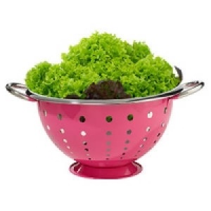 Salatseiher