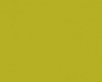 Roller  A.S. Creation Vliestapete MEISTERVLIES 5 - gelbgrün - uni - 10 Meter