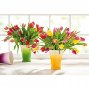 Tulpenstrau&szlig; 1.99&nbsp;&euro;