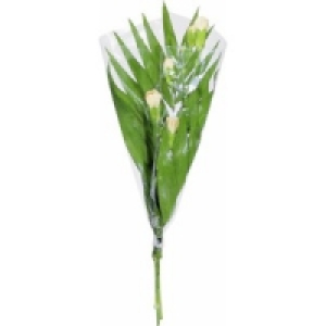 Strauß Tulpe 0.37 €