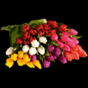 Tulpenstrau&szlig; 1.79&nbsp;&euro;