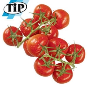 Spanien Rispentomaten 1.99 €