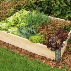 Gardol Hochbeetumrandung 14.95 €