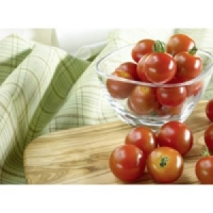 Cocktailtomaten rot