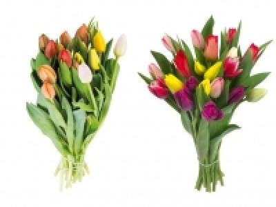 Tulpenstrau&szlig; 3.99&nbsp;&euro;