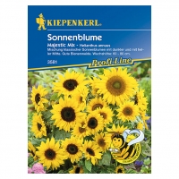 Bauhaus  Kiepenkerl Profi-Line Sonnenblume Majestic Mix