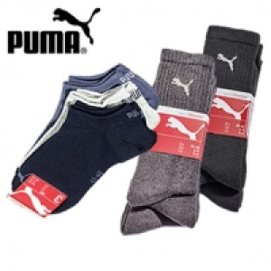 Sport- oder Sneakersocken 3er-Pack 7.99&nbsp;&euro;