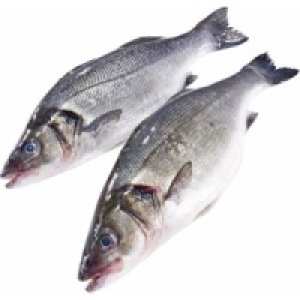 Wolfsbarsch