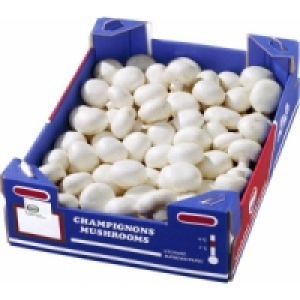 Champignons weiß