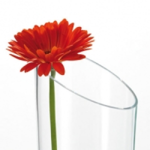 Leonardo Vase Dynamic 40 cm