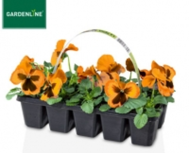 GARDENLINE® Beetpflanzen-Frühlingsmix