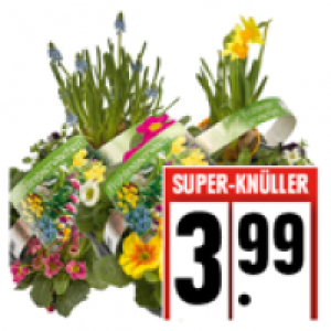 Edeka  Frühlingsgarten