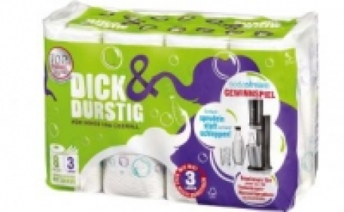 Dick & Durstig Haushaltstücher 2.99 €