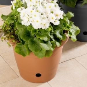 Blumentopf 3.99 €