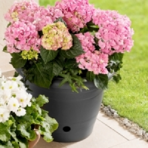 Blumentopf 4.99 €