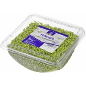 Frische Kräuter geschnitten