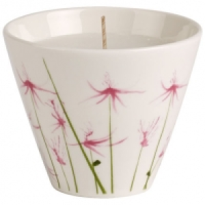 Villeroy & Boch Little Gallery Candles Teelichthalter mit Kerze Pink B