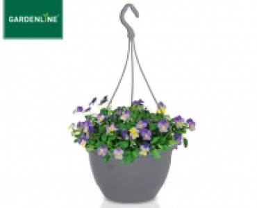 GARDENLINE®Viola-Ampelpflanzen