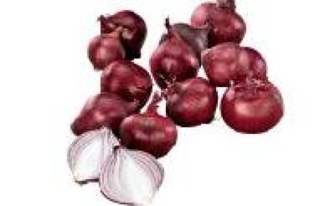 Zwiebeln rot 0.79&nbsp;&euro;