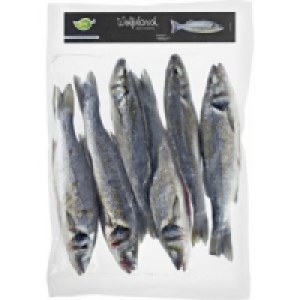 PTC Wolfsbarsch