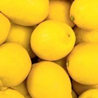 Aldi Nord Gut Bio® Bio Zitronen