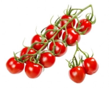 Mini-Romarispentomaten