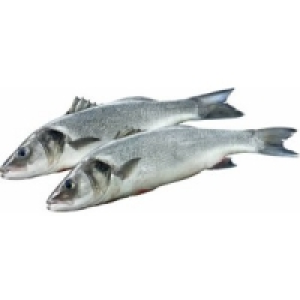 Wolfsbarsch