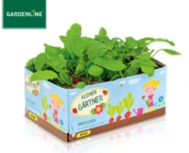 Gemüsepflanzen und Kräuter für Kinder 3.99 €