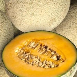 Cantaloupe-Melone 1.65 €
