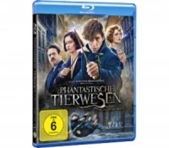 Blu-ray-Disc 14.99 €