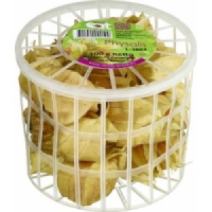 Physalis